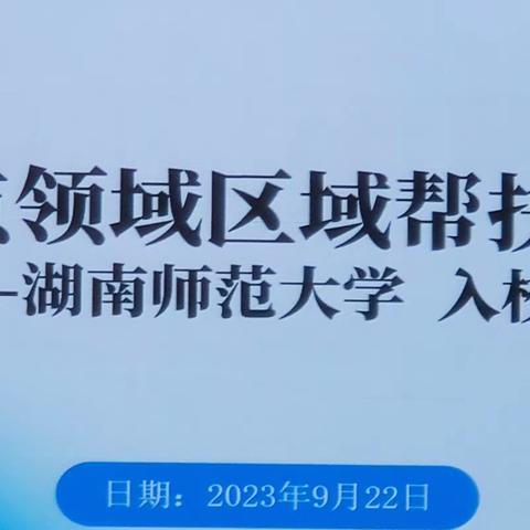 名师引领前行     助推高质发展