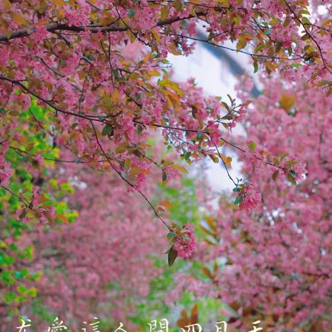 聚集体智慧，备高效课堂———仲村镇中心校“名师名课”教学展示暨集体备课活动