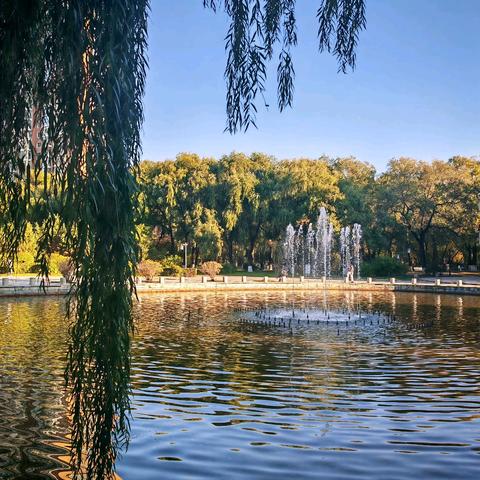 最美秋色醉人心——杏林湖公园