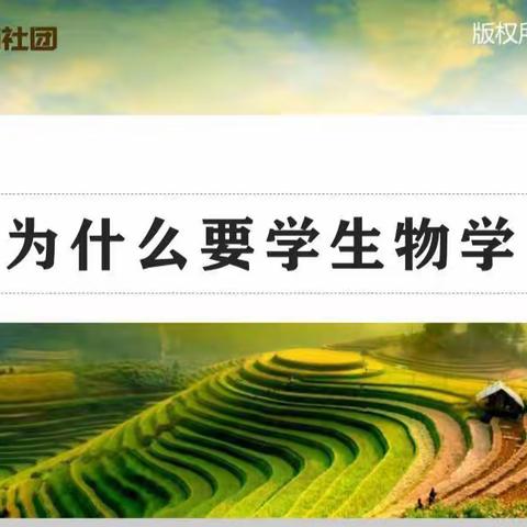 钢二路小学生物社团