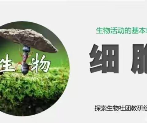 钢二路小学探索生物社团