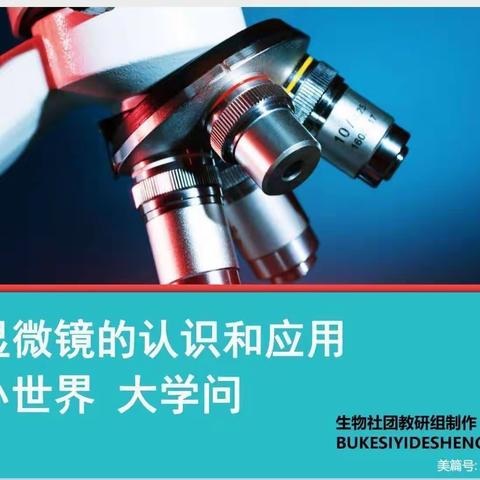 钢二路小学探索生物社团