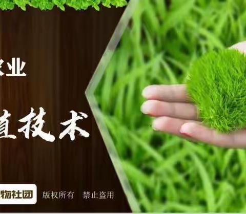 钢二路小学探索生物社团