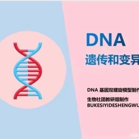 钢二路小学探索生物社团
