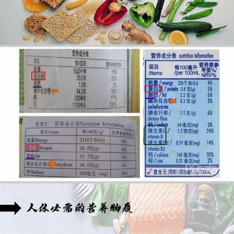钢二路小学探索生物社团