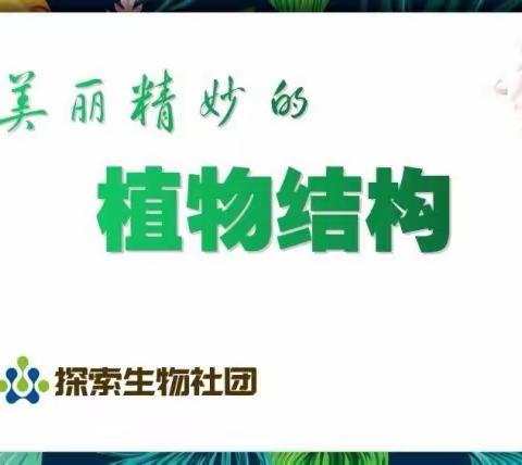 钢二路小学探索生物社团
