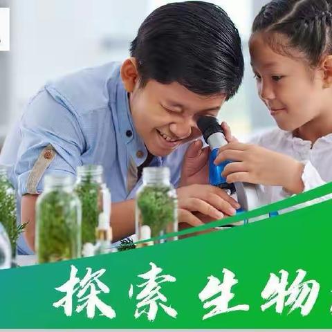 钢三路小学探索生物社团