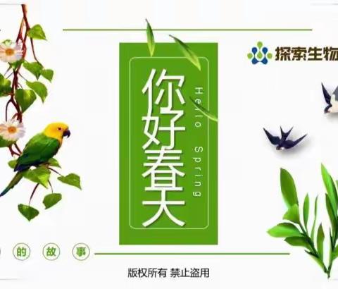 钢二路小学探索生物社团