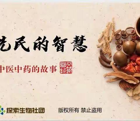 钢二路小学探索生物社团