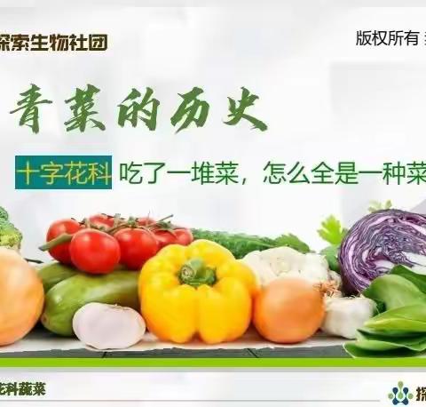 钢二路小学探索生物社团