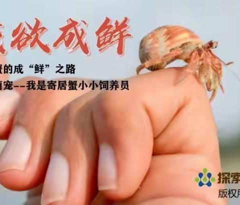 钢二路小学探索生物社团