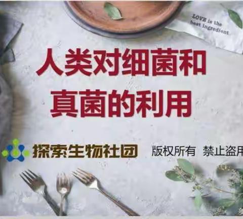 钢二路小学探索生物社团