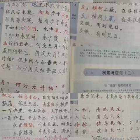 2301关东组寒假作业汇报