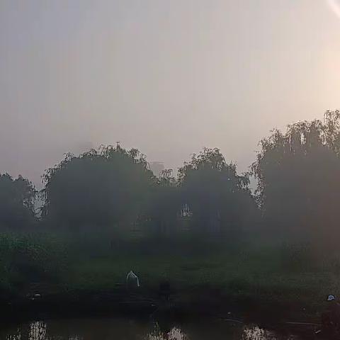 清晨沐浴在美丽的沅江畔，一缕阳光洒向大地，层层薄雾仙气飘飘，美好的一天从晨跑开始。