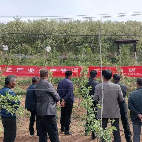 赋能园艺产业升级！洛宁县举办生产管理技术培训班