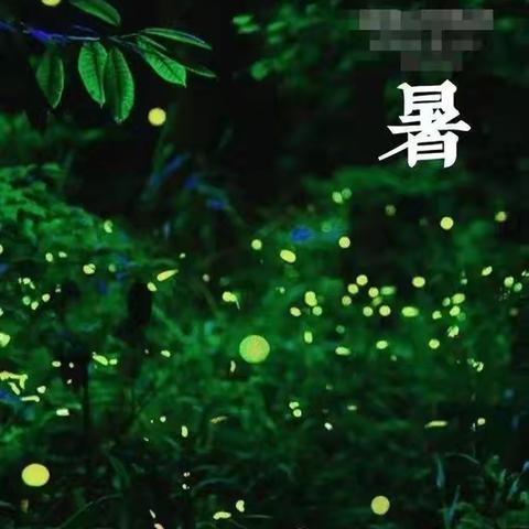 二十四节气——大暑