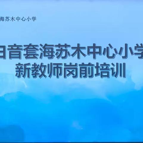 启航新程，共筑教育梦想——白音套海苏木中心小学新教师岗前培训