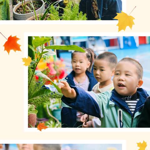 金秋十月，“幼”见美好——童心科学幼儿园诺贝尔三班十月精彩回顾