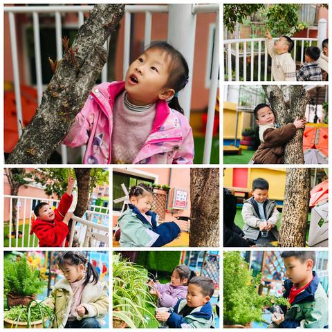 暖春三月 遇见美好——童心科学幼儿园诺贝尔三班三月精彩回顾