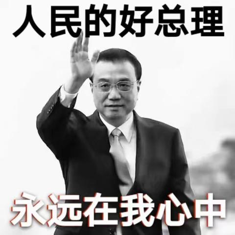 缅怀李克强总理