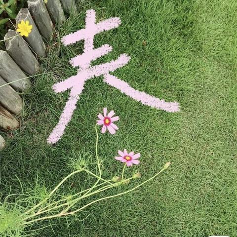 让我说说春天的味道