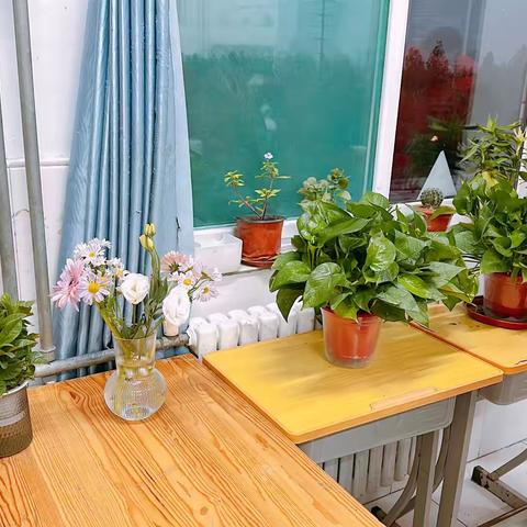 蓄满鲜花绿叶，积极过冬❄️