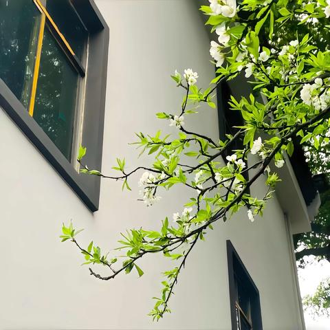 劳动的温度，比秋阳更暖