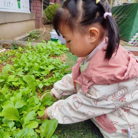 幼儿园的快乐生活——观山湖区第四十幼儿园小一班