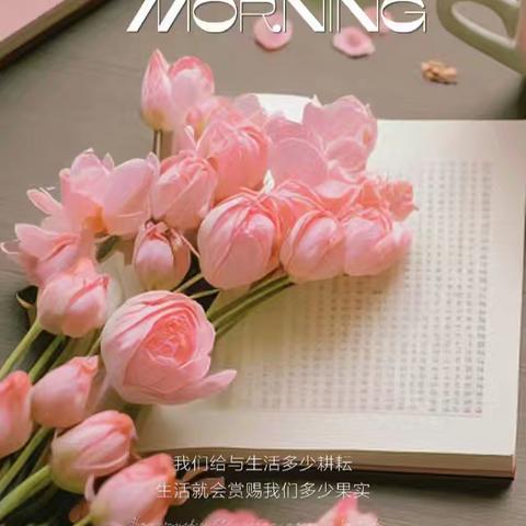 💮莱蒙物业7月份第四周简报💮