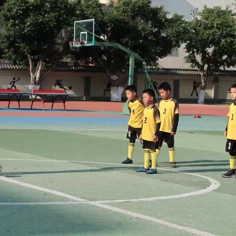 ⚽️竞技绿茵⚽️