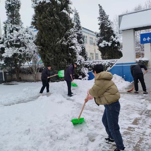 白寺镇：初雪见初心，除雪暖人心