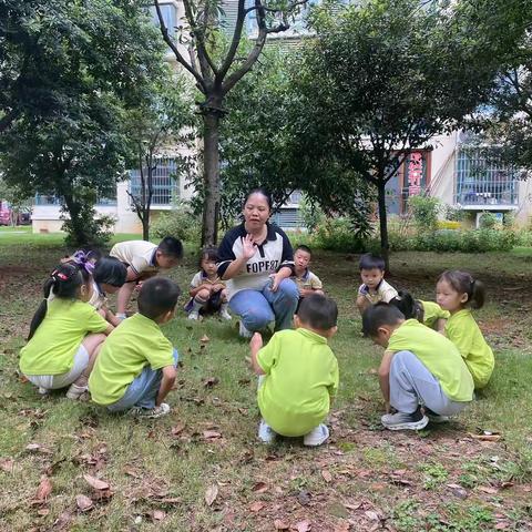 【昌江区第三幼儿园自然探索活动】“泥”好呀！—蕾一班