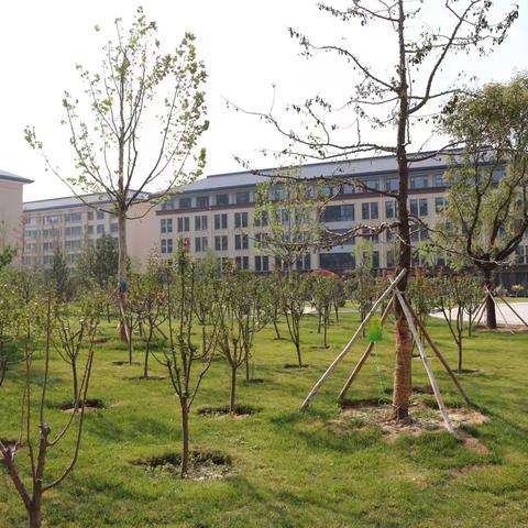 同谱美育华章 共绘成长时光 半日开放活动邀请函