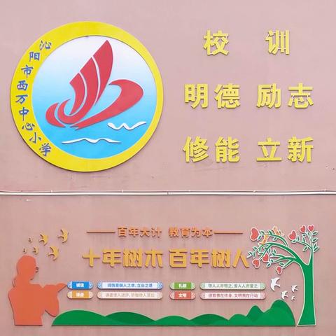 西万小学“逐梦·筑梦”好少年宋华宁先进事迹（第七期）