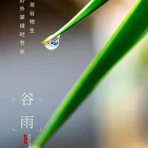 谷雨时节，生机盎然——隆哥生活随笔