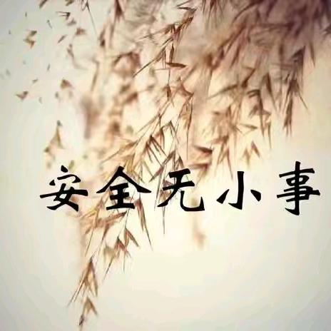 【安全教育】“灾后重建，安全同行””——临高中学台风灾后安全教育主题班会简报