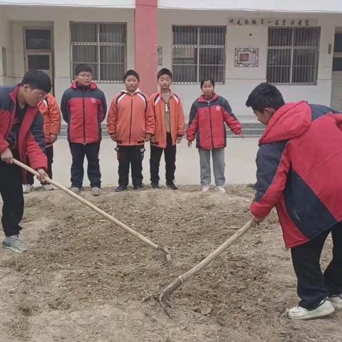 劳动课进校园，实践促成长