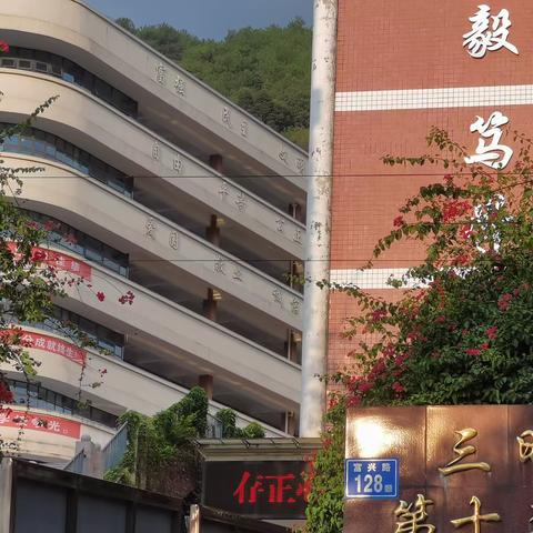 行远自迩以致学，笃行不怠教育始——三明市第十二中学实习简报