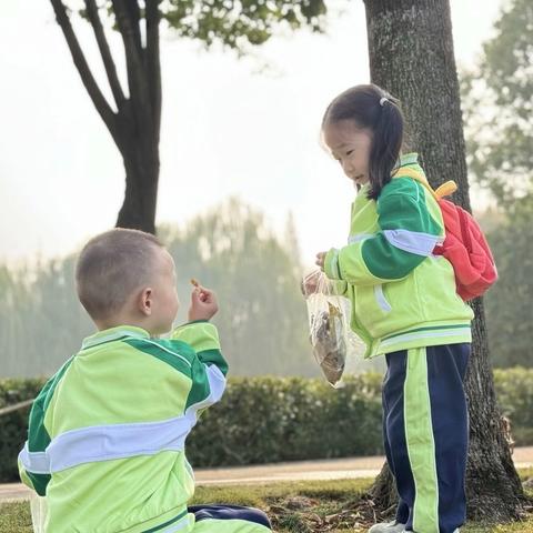 探索自然 乐享时光 荆州区实验幼儿园（总园）亲子出游