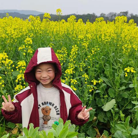 一(6)班丁鹤容第一次家庭科学实验——《筷子的神力》