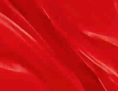 凝聚建材力量 开启新篇章！ 2025武汉东西湖建材商会年会暨招商联谊会成功举办！