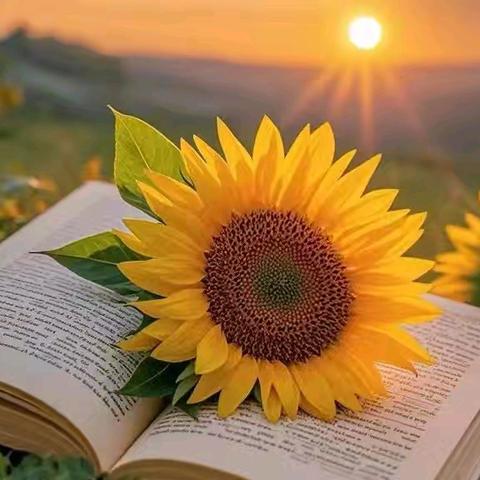 第四周班级周工作总结 （集贤班）