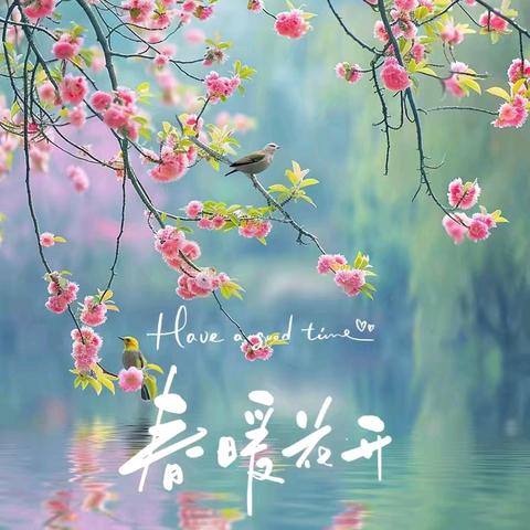 第八周班级周工作总结 （集贤班）