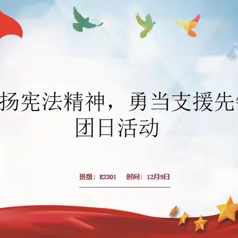 《弘扬宪法精神，勇当支援先锋》主题团日活动