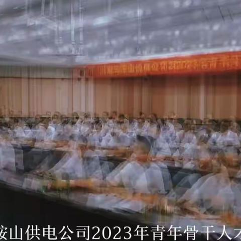 国网马鞍山供电公司2023年青年骨干人才培训班（第二期）简报