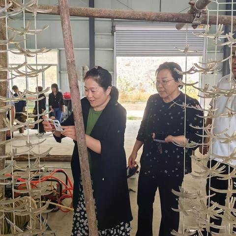 颜庄街道：人大代表视察调研党支部领办合作社 助力乡村振兴