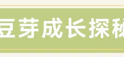 小豆芽成长探秘记——一年级一班“泡豆芽”主题劳动实践活动