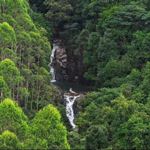 【森畔民宿】永汉洋陂村8房13床现代风·山泉水泳池滑梯民宿｜全新装修