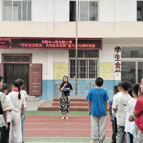 "守护蓝天精灵 共筑生态家园"马额小学在行动