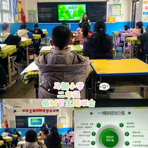 马额小学植树节系列活动纪实